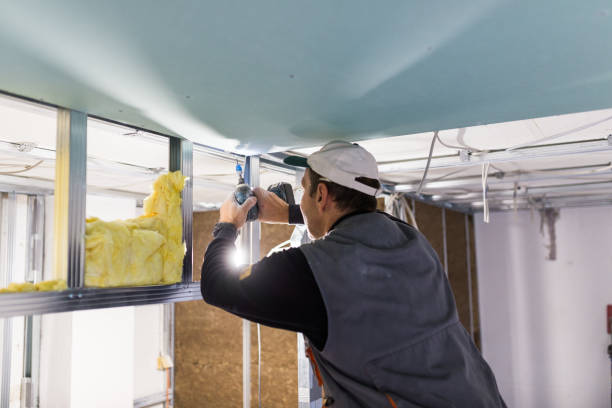 Best Insulation Installation Services in Liberty Triangle, FL